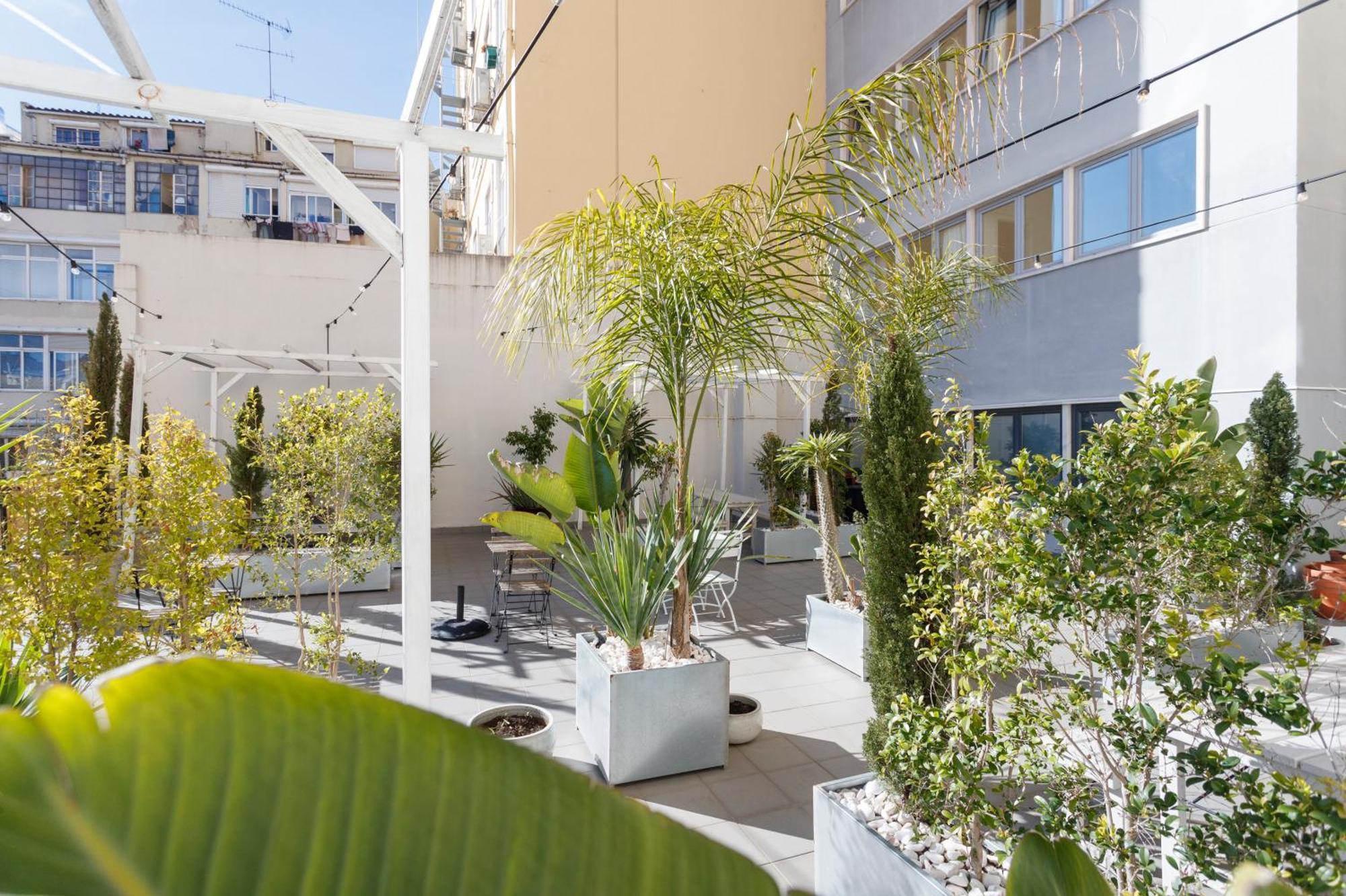 Mojito Breeze In Lisbon By Misha'S Place 3C ภายนอก รูปภาพ