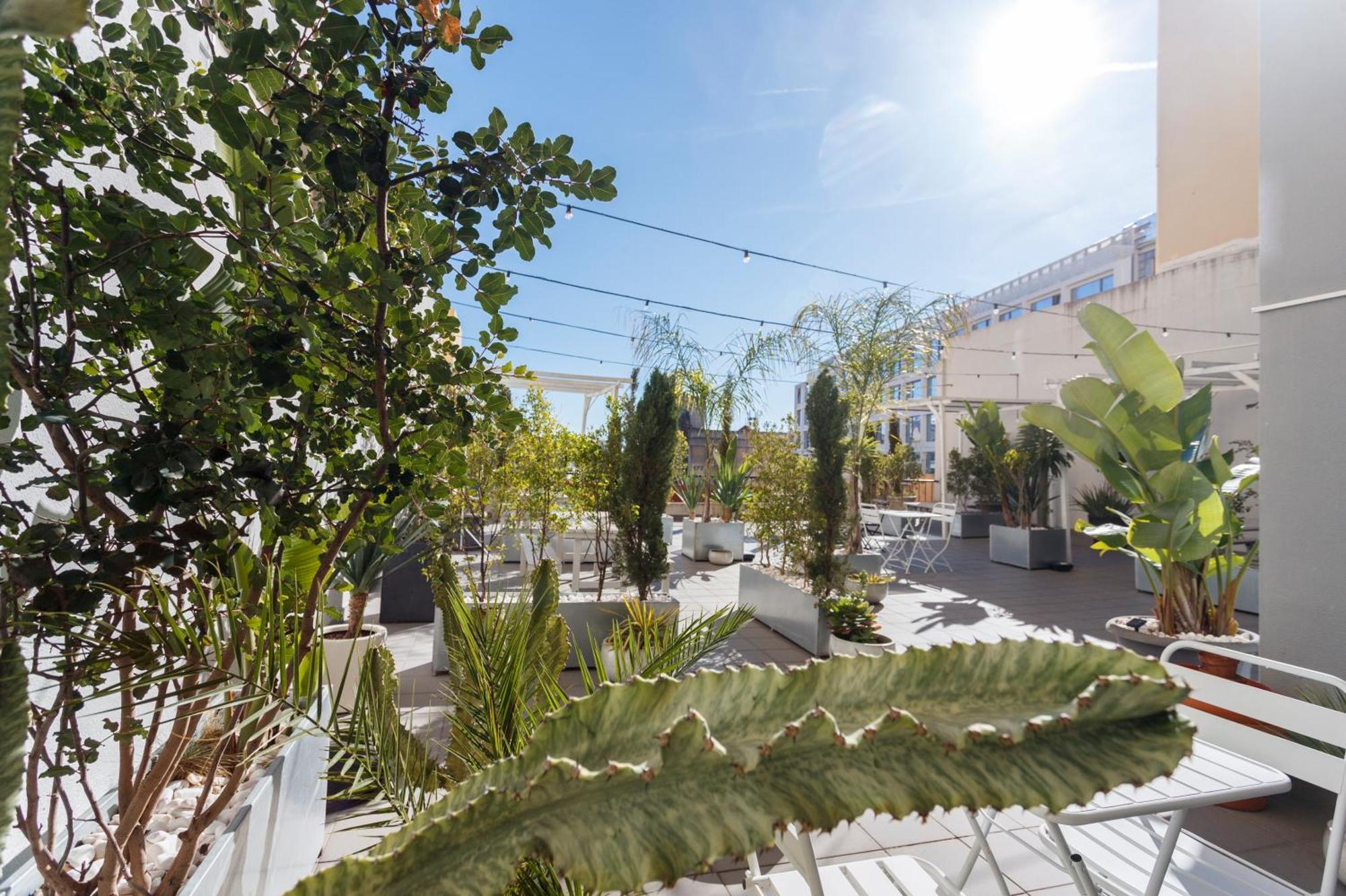 Mojito Breeze In Lisbon By Misha'S Place 3C ภายนอก รูปภาพ